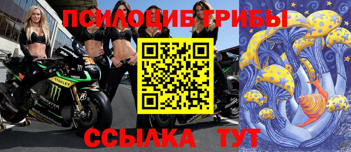 Чебаркуль  Галлюциногенные грибы мухоморы  Вход с VPN  Галлюциногенные грибы Magic Shrooms 